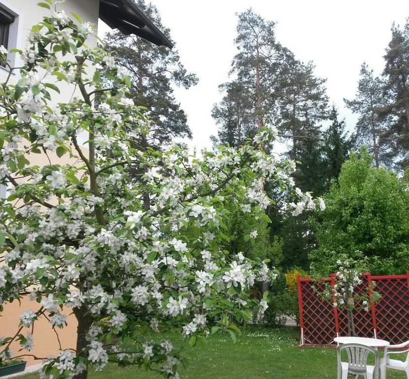 Ferienwohnung Kerth St. Kanzian am Klopeiner See Exterior foto